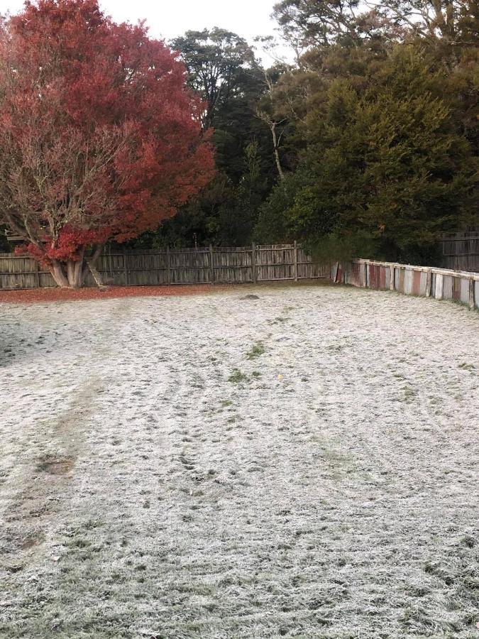 Moore St Cottage Ohakune Esterno foto