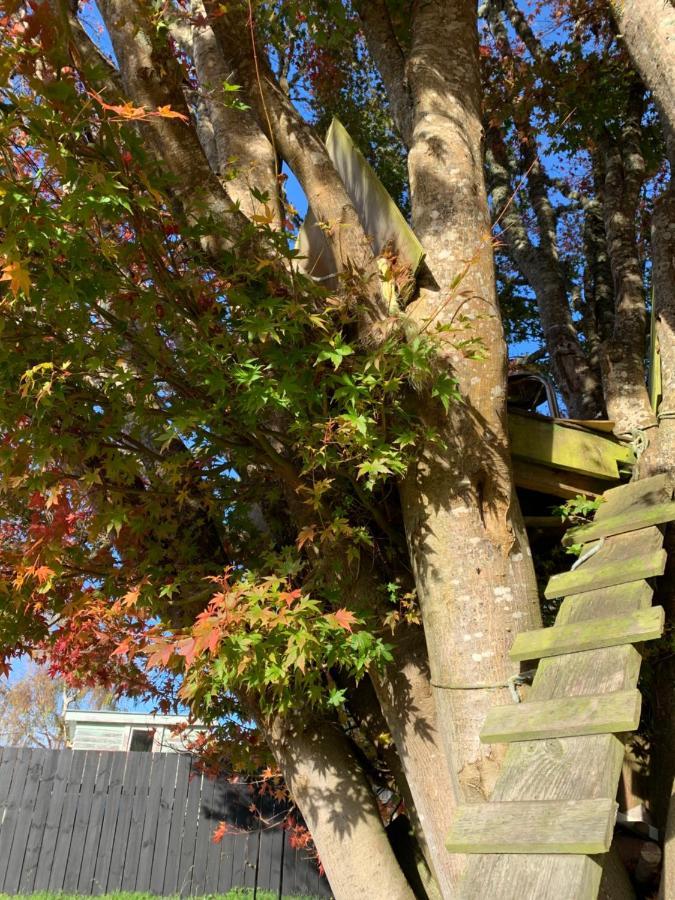 Moore St Cottage Ohakune Esterno foto
